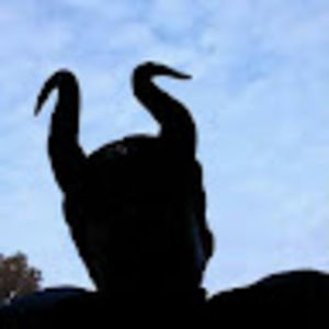 Meet your Posher, Lynda